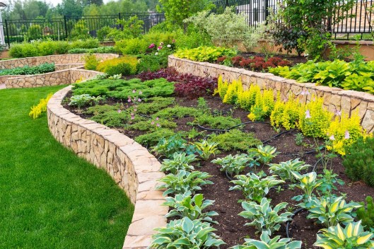 Maximize Your Harvest: Learn About the Advantages of Companion Planting